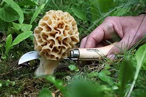 Opinel Nr. 8 peilis grybavimui