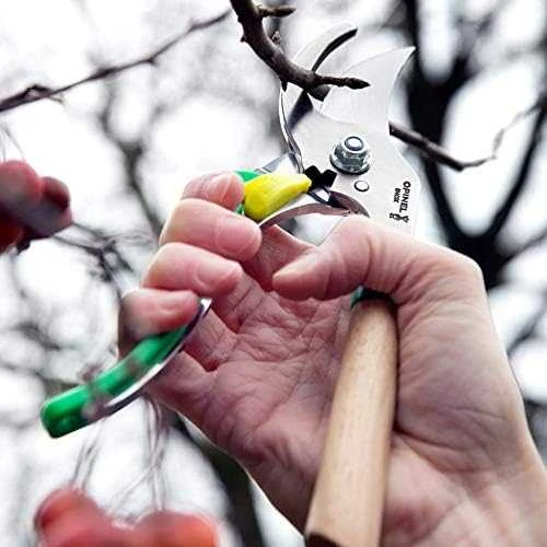 Opinel sekatorius kombinuota buko ir mėlyno plastiko rankena