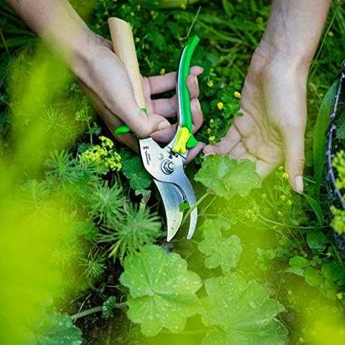 Opinel sekatorius kombinuota buko ir mėlyno plastiko rankena