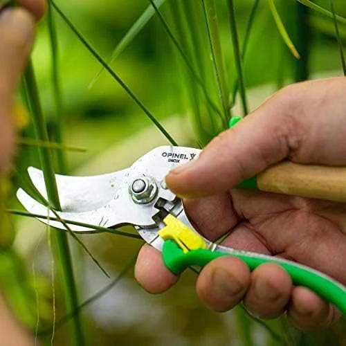 Opinel sekatorius kombinuota buko ir mėlyno plastiko rankena