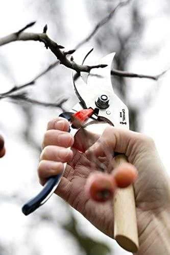 Opinel sekatorius kombinuota buko ir mėlyno plastiko rankena