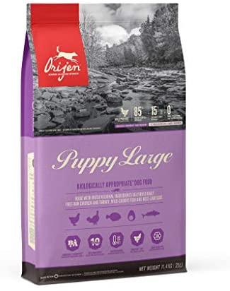 ORIJEN Dog Puppy Large 11,4kg