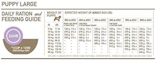 ORIJEN Dog Puppy Large 11,4kg