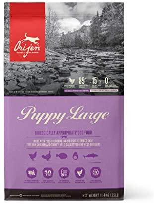 ORIJEN Dog Puppy Large 11,4kg
