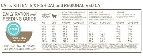ORIJEN Cat Regional Raudona 5,4kg