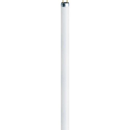 Ledvance 13W lempa LUMILUX T5 Short, G5, 4000K, 531,1mm