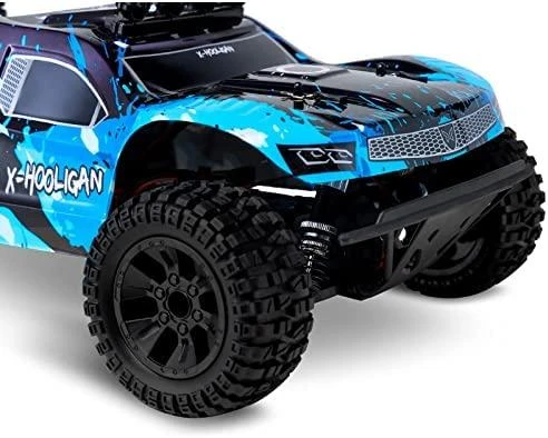 OVERMAX X-HOOLIGAN RC CAR