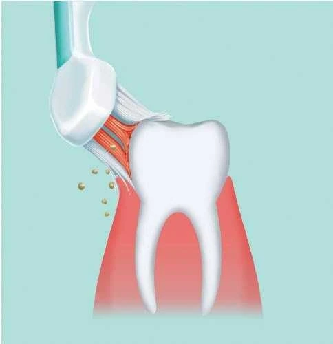 Panasonic | Sonic Elektrinis dantų šepetėlis | EW-DC12-W503 | Įkraunamas | Suaugusiems | Šepetėlių skaičius galvutės įeina 1 | Number of teeth brushing modes 3 | Sonic technology | Golden Baltas