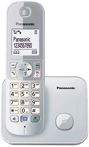 Panasonic KX-TG6811GS perlinis sidabras