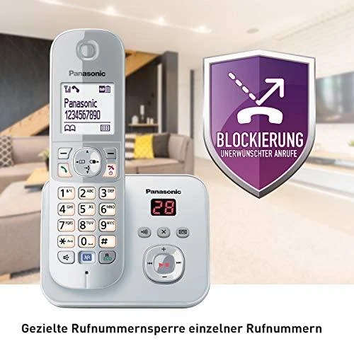 Telefonas Panasonic KX-TG6822GS pearlsil