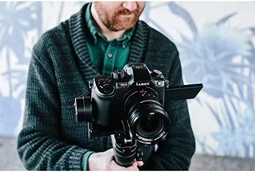 Panasonic Lumix G GH5 II (DC-GH5M2L) + Panasonic LEICA DG VARIO-ELMARIT 12-60mm / F2.8-4.0 ASPH. / POWER OIS (H-ES12060)