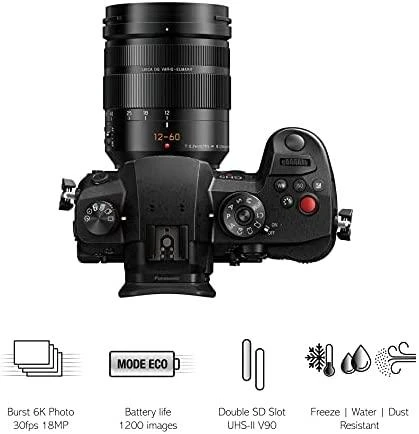 Panasonic Lumix G GH5 II (DC-GH5M2L) + Panasonic LEICA DG VARIO-ELMARIT 12-60mm / F2.8-4.0 ASPH. / POWER OIS (H-ES12060)