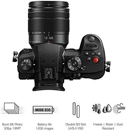 Panasonic Lumix G GH5 II (DC-GH5M2M) + Panasonic LUMIX G Vario 12-60mm f/3.5-5.6 Asph. Power OIS (H-FS12060) (Juodas)