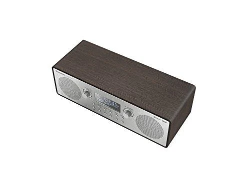 Radija Panasonic RF-D100BTEGT
