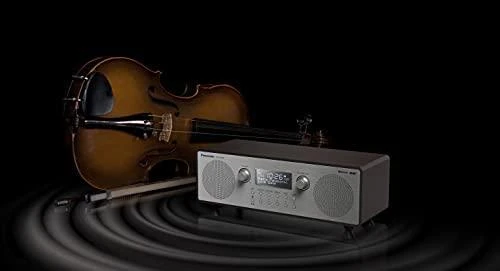 Radija Panasonic RF-D100BTEGT