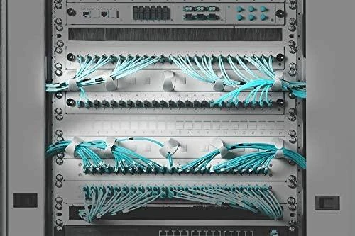 Assmann Electronic Assmann elektroninis DIGITUS kabelių valdymo skydelis, skirtas 483 mm 19 colių spintelėms
