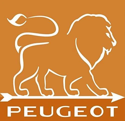 Peugeot Pipirų malūnėlis, 30 cm, natūralus, U-Select, Paris