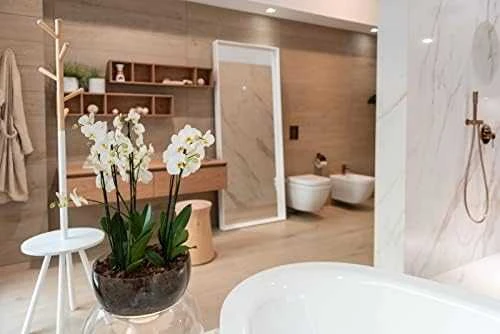 Pastatomas bide Grohe EURO CERAMIC 3934000H, su PUREGUARD danga