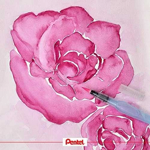 Vandens teptukas PENTEL ARTS AQUASH, apvalus, didelis