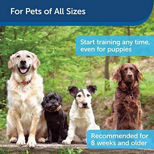 Petsafe Clik-R™ Clicker Training Tool klikeris