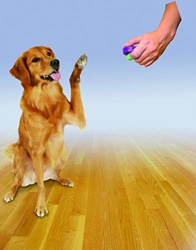 Petsafe Clik-R™ Clicker Training Tool klikeris
