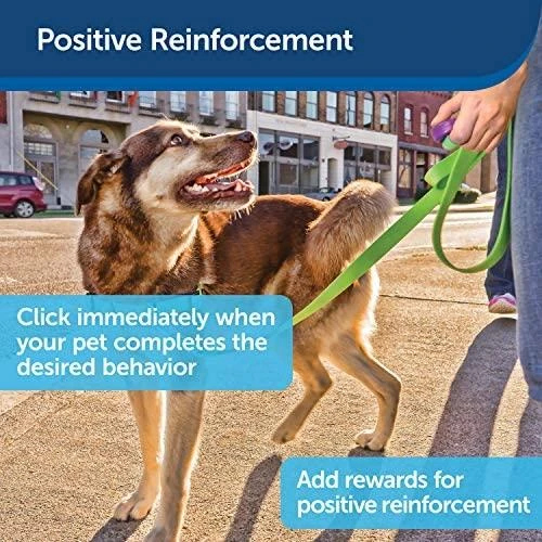 Petsafe Clik-R™ Clicker Training Tool klikeris