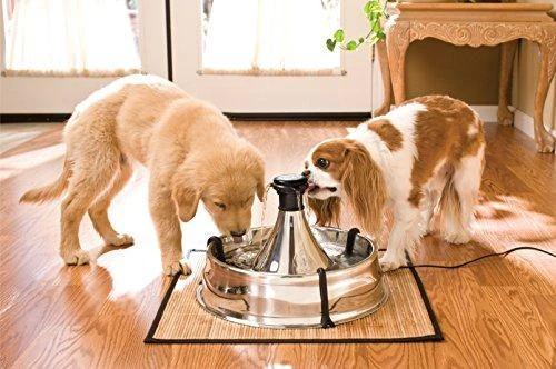 Petsafe Drinkwell 360 nerūdijančio plieno girdykla - fontanas