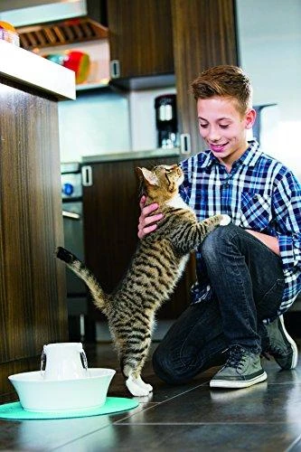 PetSafe Drinkwell Avalon fontanėlis girdykla šunims ir katėms 2L