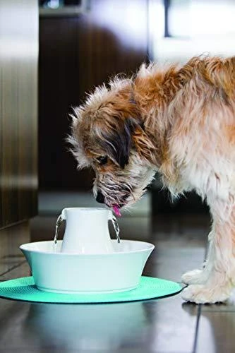 PetSafe Drinkwell Avalon fontanėlis girdykla šunims ir katėms 2L