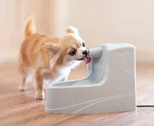 PetSafe Drinkwell Mini girdykla - fontanas 1.2L