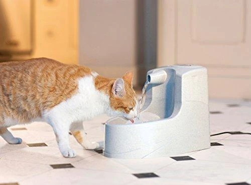 PetSafe Drinkwell Mini girdykla - fontanas 1.2L