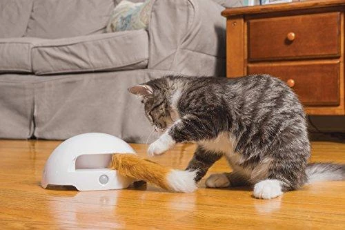 Petsafe FroliCat Fox Den žaislas katėms erzintojas