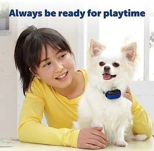 Petsafe 3 Volt RFA-188 elementas dresūrai skirtiems ankakliams