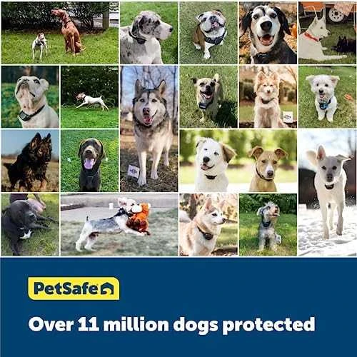 Petsafe 3 Volt RFA-188 elementas dresūrai skirtiems ankakliams