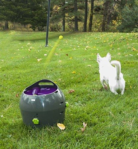 PetSafe Automatic Ball Launcher automatinis kamuoliukų mėtymo prietaisas šunims