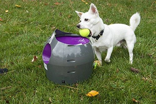 PetSafe Automatic Ball Launcher automatinis kamuoliukų mėtymo prietaisas šunims