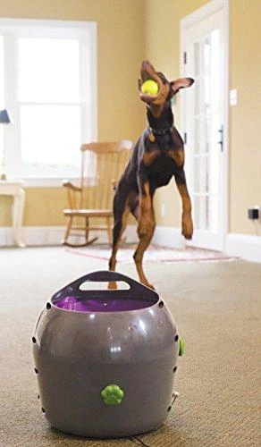 PetSafe Automatic Ball Launcher automatinis kamuoliukų mėtymo prietaisas šunims