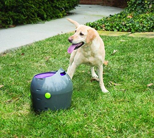 PetSafe Automatic Ball Launcher automatinis kamuoliukų mėtymo prietaisas šunims