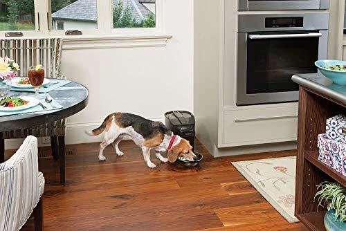 PetSafe Healthy Simply Feed programuojama skaitmeninė automatinė šėrykla šunims ir katėms