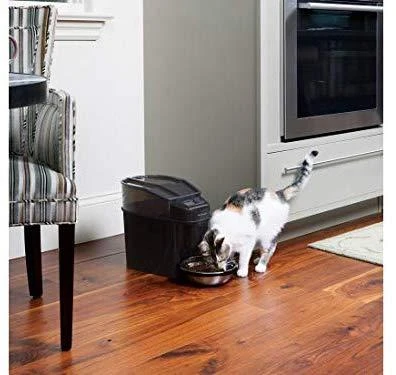 PetSafe Healthy Simply Feed programuojama skaitmeninė automatinė šėrykla šunims ir katėms