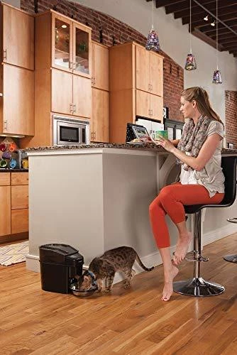 PetSafe Healthy Simply Feed programuojama skaitmeninė automatinė šėrykla šunims ir katėms