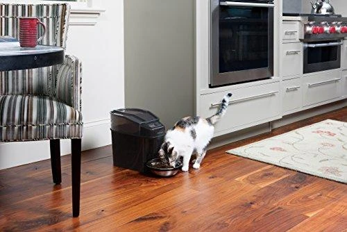 PetSafe Healthy Simply Feed programuojama skaitmeninė automatinė šėrykla šunims ir katėms