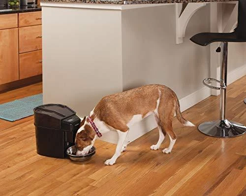 PetSafe Healthy Simply Feed programuojama skaitmeninė automatinė šėrykla šunims ir katėms