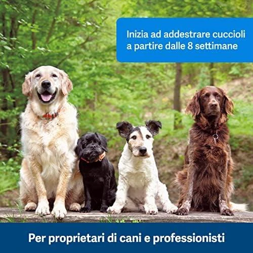 Petsafe Clik-R™ Clicker Training Tool klikeris