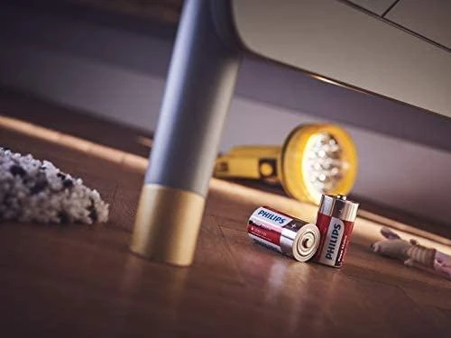 „Philips Power“ šarminis akumuliatorius LR20P2B/10