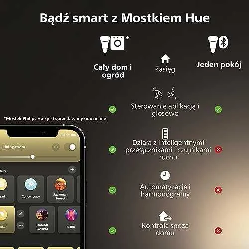 „Philips Hue“ 100 W lauko maitinimo blokas su kištuku