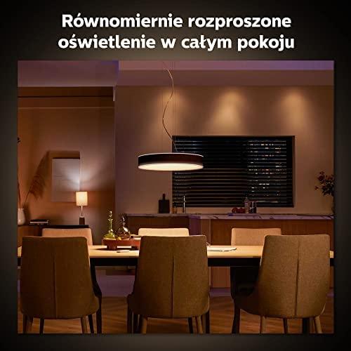 Pakabinamas šviestuvas Philips Hue Enrave juodas pendant