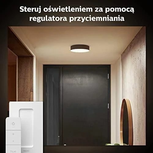 Lubinis šviestuvas Philips Hue Enrave juodas S