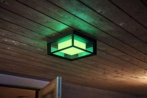 Philips Hue Econic Sieninis lauko šviestuvas (Baltas ir spalvotas)