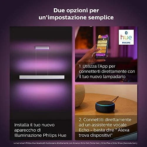 Pakabinamas šviestuvas Philips Hue Ensis pakabukas juodas 79W 24V | 79 W | Baltas ir Color Ambiance 2000-6500K